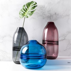 玻璃渐变透明花瓶办公室摆件水培花器花插 卡萝 红色高款