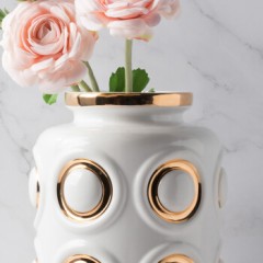 轻奢金色陶瓷客厅家居装饰花瓶干花花插插花摆件 HANA 金色 A款